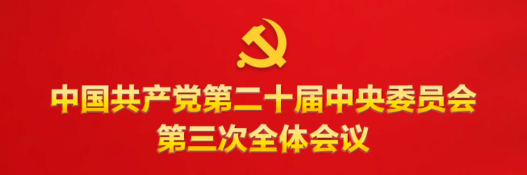 党的二十届三中全会 党的二十届三中全会